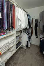 Walk in closet featuring carpet