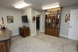 Interior space with light colored carpet and a textured ceiling