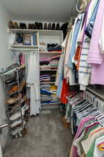 Spacious closet featuring dark carpet