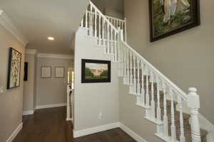 Stairs with wood finished floors, ornamental molding, and recessed lighting