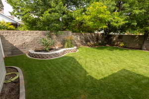 View of fenced backyard