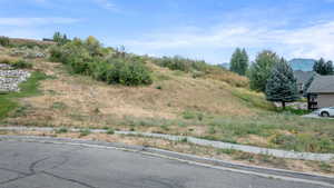View of undeveloped land