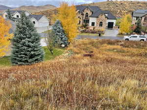 Aerial view of a mountain backdrop