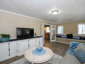 Living room featuring crown molding, dark wood-style flooring, and a textured ceiling