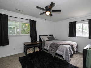 Bedroom featuring a textured ceiling, carpet, multiple windows, ornamental molding, and ceiling fan