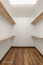 Walk in closet with dark wood finished floors