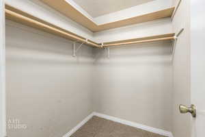 Spacious closet with carpet flooring