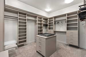 Spacious closet featuring light carpet