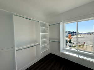 Spacious closet featuring dark wood finished floors