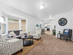 Living area with crown molding and freshly cleaned carpet floors