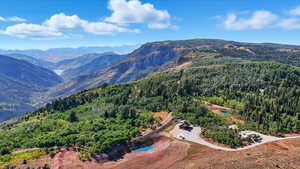 Mountain view with a heavily wooded area
