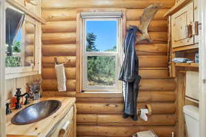 Bathroom with vanity and rustic walls
