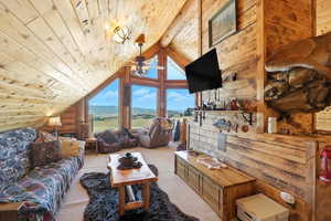 Carpeted living area with wood ceiling and wood walls