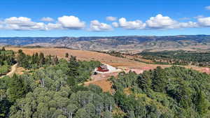 Drone / aerial view of a forest and mountains