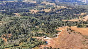 Bird's eye view of a forest