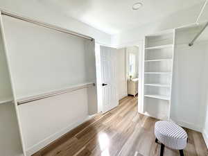 Primary walk-through closet