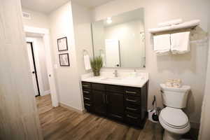 Bathroom featuring vanity and dark wood-type flooring