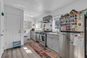 Kitchen featuring gray cabinets, stainless steel appliances, light wood finished floors, and under cabinet range hood