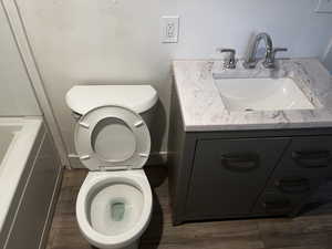 Bathroom featuring vanity, light wood-type flooring, and a bath