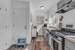 Kitchen with appliances with stainless steel finishes, gray cabinetry, under cabinet range hood, light wood-style floors, and light countertops
