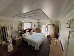 Carpeted bedroom featuring ornamental molding, access to outside, and a textured ceiling