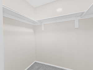 Spacious closet with carpet