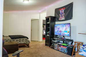 Living room with a textured ceiling and light carpet