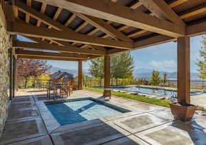 Fenced backyard with a mountain view, a patio, and a pool