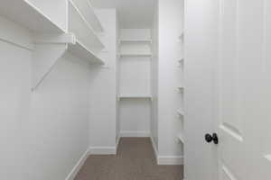 Spacious closet with light carpet