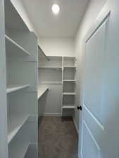 Spacious walk in closet