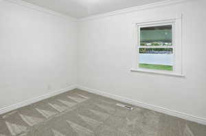 Empty room featuring crown molding and carpet floors