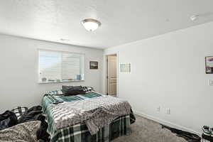 Basement bedroom 1
