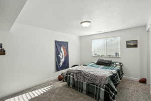 Basement bedroom 1