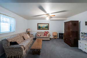 Basement living room