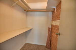 Walk in closet featuring carpet