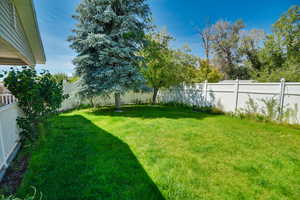 View of fenced backyard