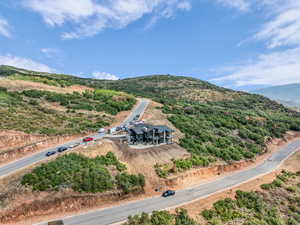Bird's eye view of a mountainous background