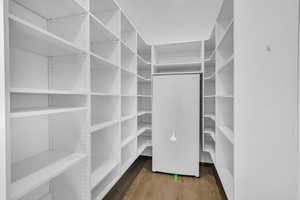 Spacious closet featuring light wood-style floors