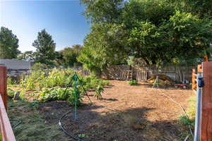 View of fenced backyard