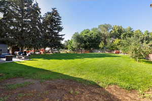 View of yard featuring a patio