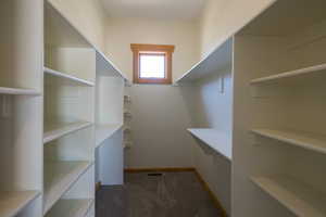 Walk in closet with carpet