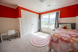 Carpeted bedroom featuring a wainscoted wall, a closet, and crown molding