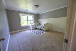 Bedroom featuring ornamental molding, carpet, wainscoting, and a textured ceiling