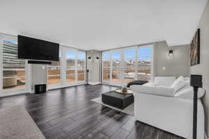 Living room featuring a wall of windows, healthy amount of natural light, and dark wood-style flooring