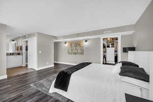 Bedroom featuring a spacious closet, dark wood-style floors, and ensuite bath
