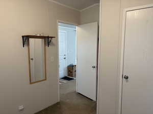 Hall featuring carpet flooring and ornamental molding