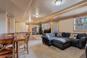 Living room featuring light colored carpet, a wood stove, and a textured ceiling