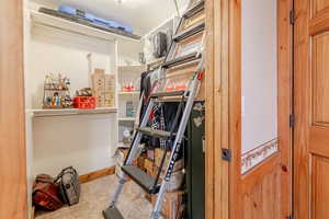 View of storage and foldable ladder to secret room!