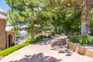 View of community