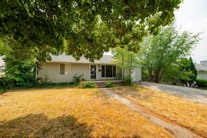View of front of house featuring a shingled roof and a front lawn